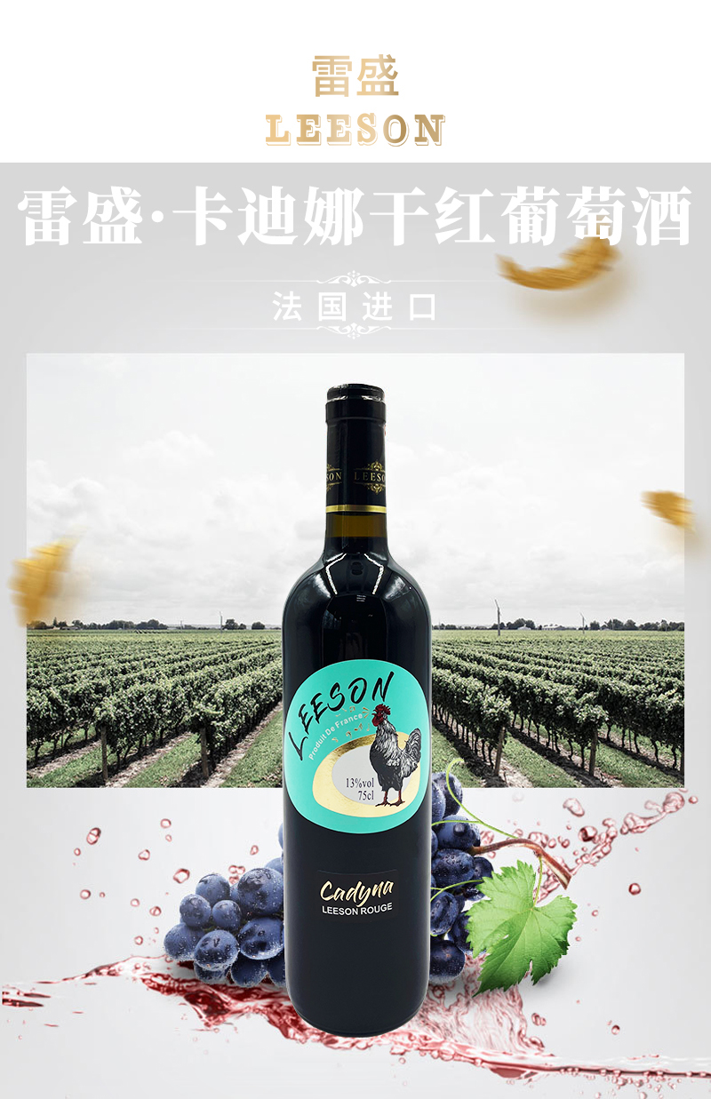 小黄鸭下载卡迪娜详情页_01.jpg