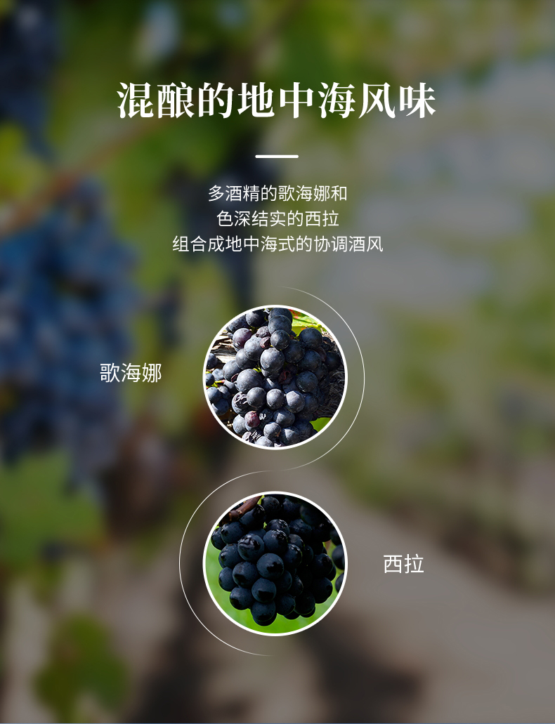 小黄鸭下载·汉妮切片_08.jpg