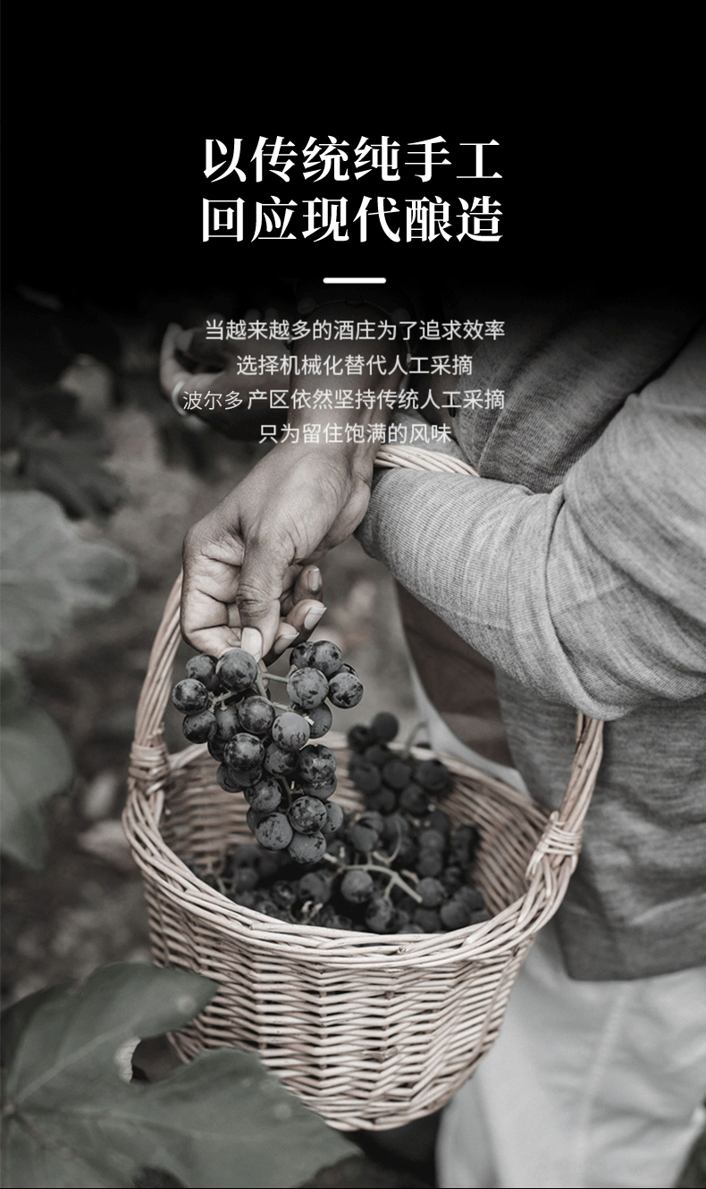 小黄鸭下载·汉妮切片_10.jpg