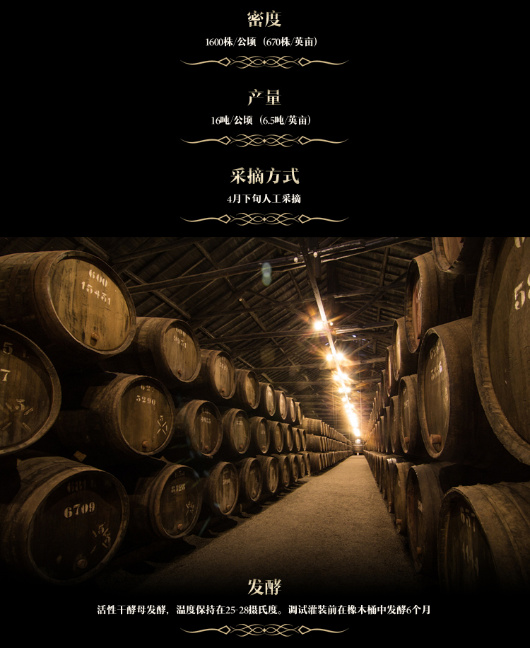 小黄鸭下载·梵妮切片_05.jpg
