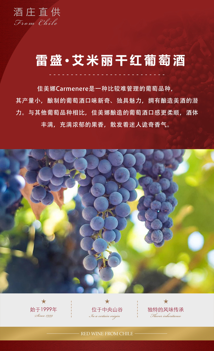 小黄鸭下载·艾米丽切片_03.jpg