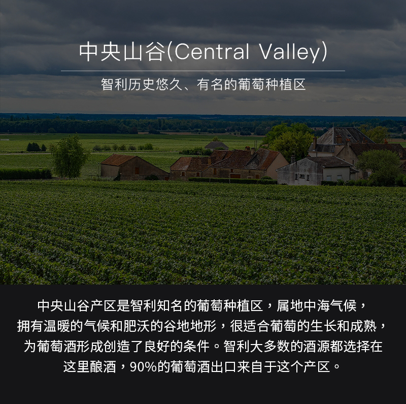 洒派干红切片_05.jpg