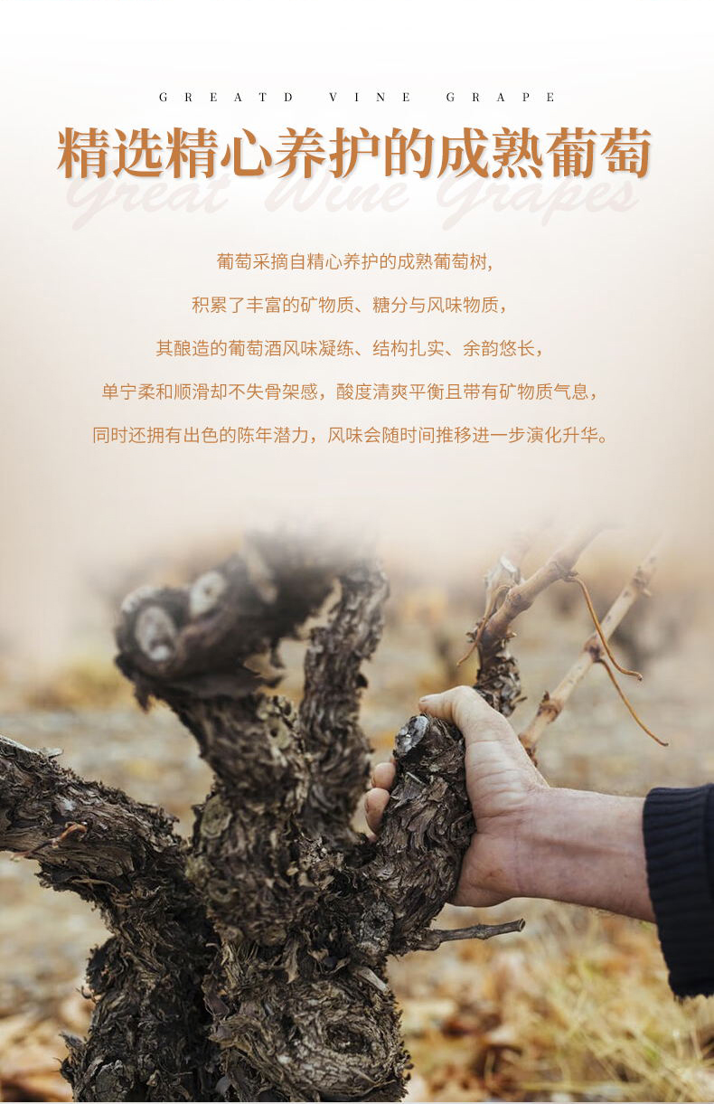 小黄鸭下载·山谷老藤切片_07.jpg