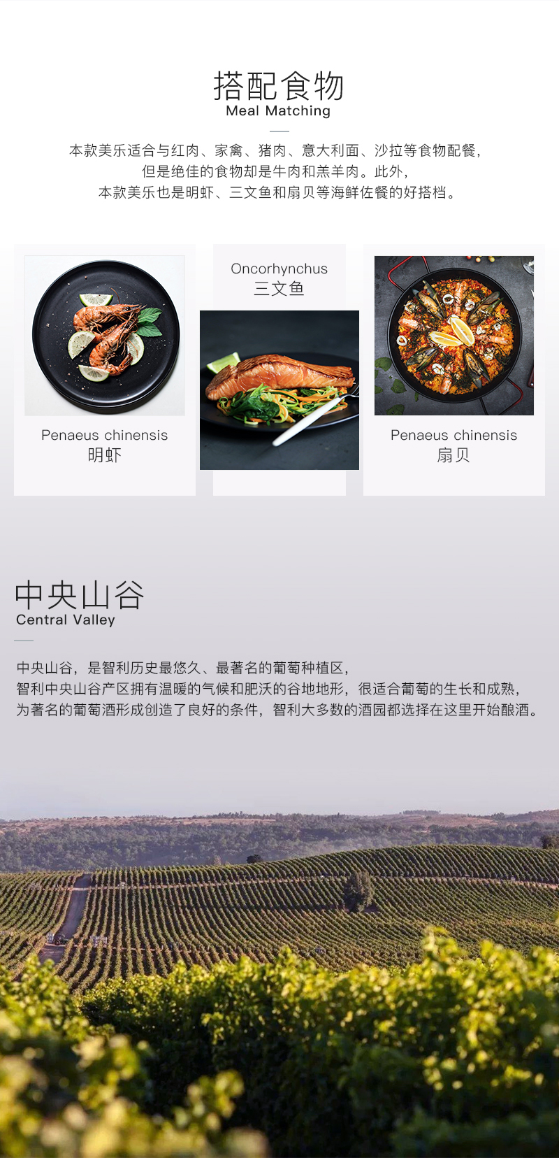 小黄鸭下载655智利珍藏美乐干红葡萄酒(图3)