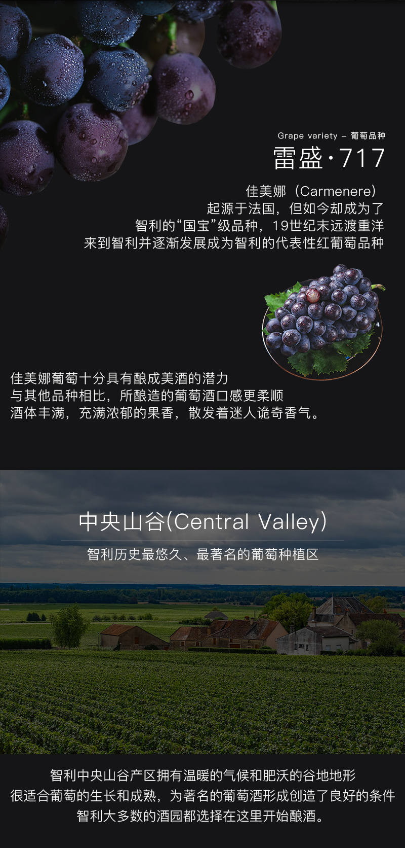 小黄鸭下载717智利特级佳美娜干红葡萄酒(图4)