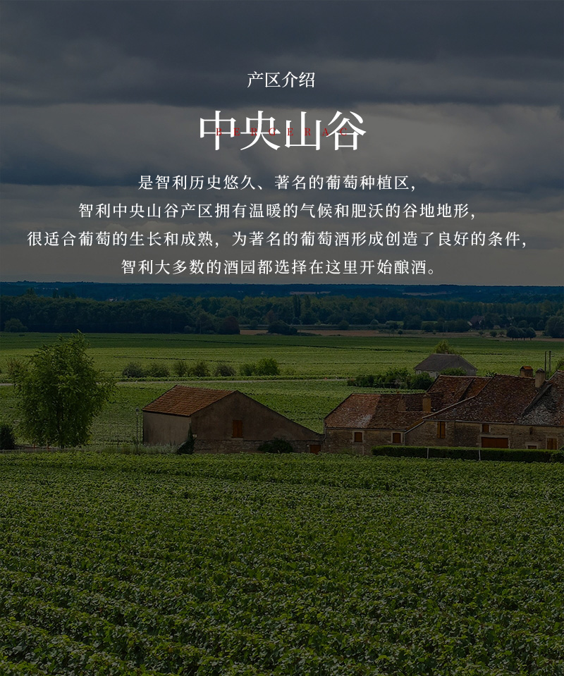 小黄鸭下载红酒33L大瓶蜡封1.5升智利干红葡萄酒(图4)