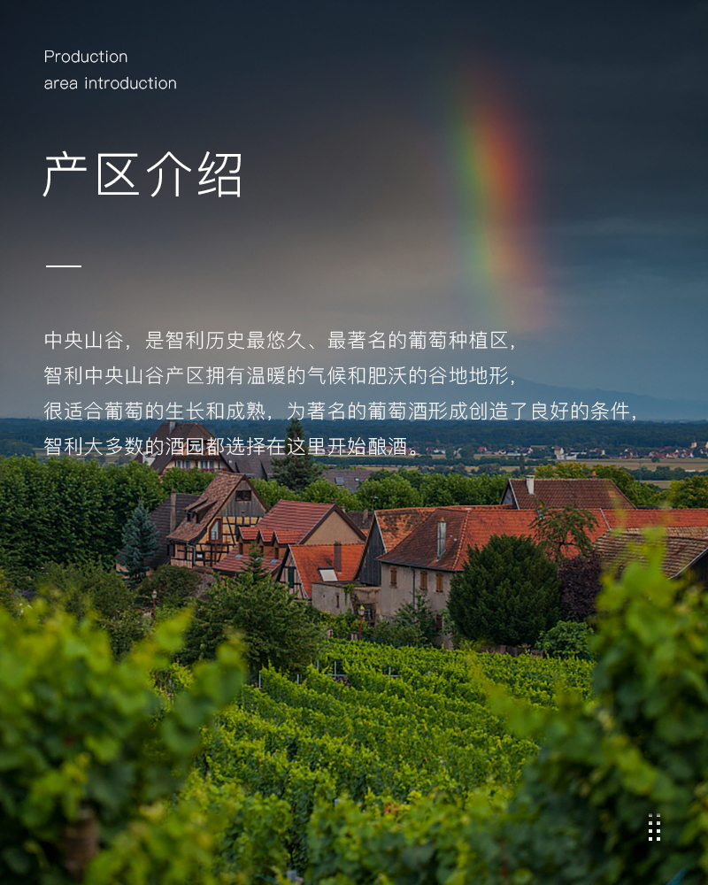 小黄鸭下载红酒429智利进口美露干红葡萄酒(图3)