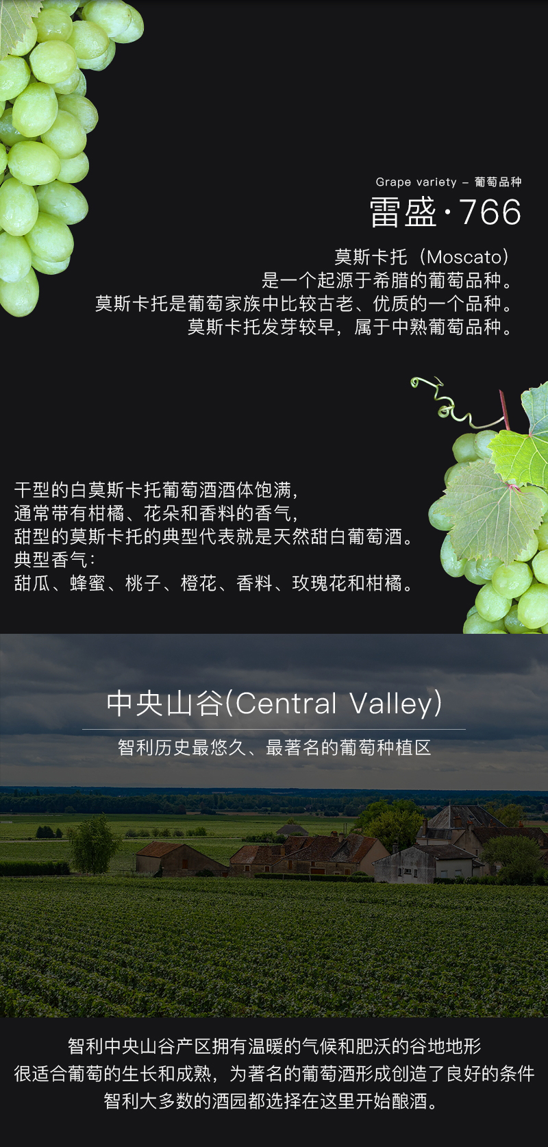 小黄鸭下载红酒766智利莫斯卡托甜白葡萄酒(图4)