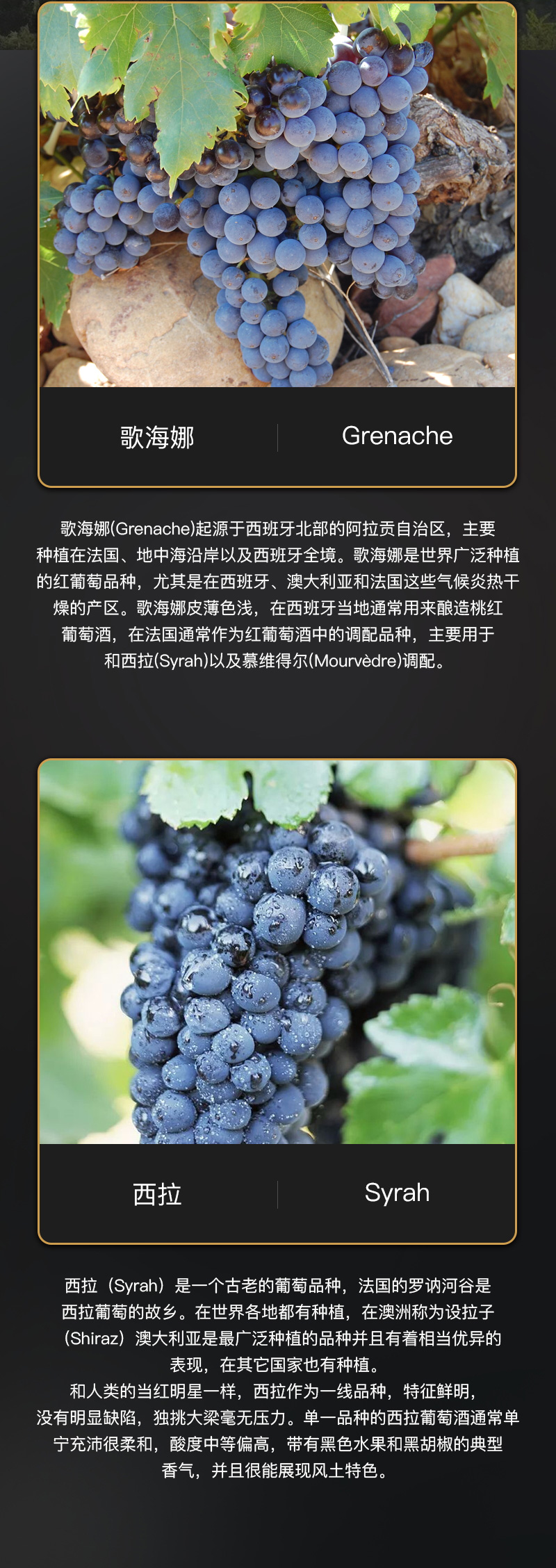 小黄鸭下载红酒818法国豪华AOC干红葡萄酒(图4)